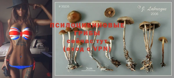 mix Арсеньев