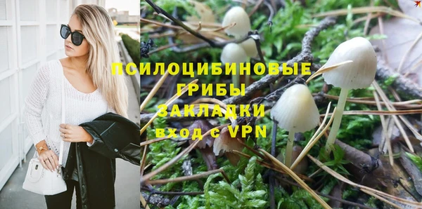 гидропоника Аркадак