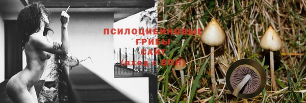 гидропоника Аркадак